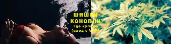 прущие грибы Краснослободск