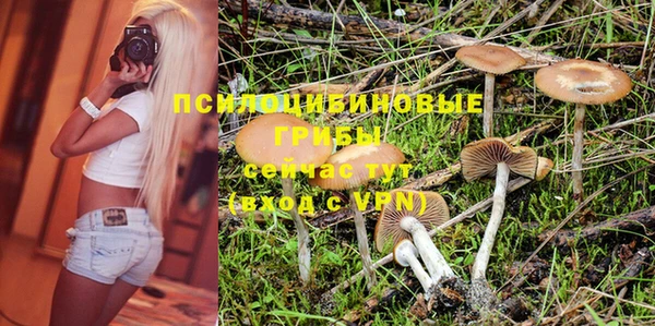 мяу мяу мука Куйбышев