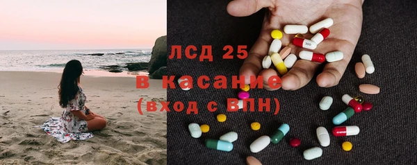 прущие грибы Краснослободск