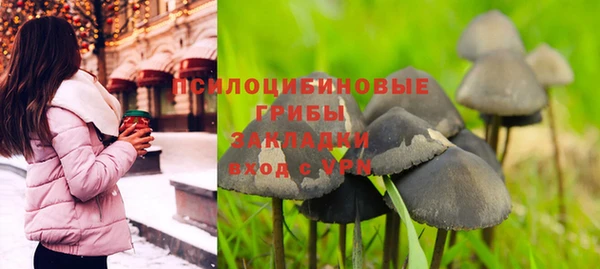 мяу мяу мука Куйбышев