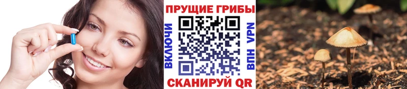 blacksprut ссылка  Лаишево  Галлюциногенные грибы мицелий 